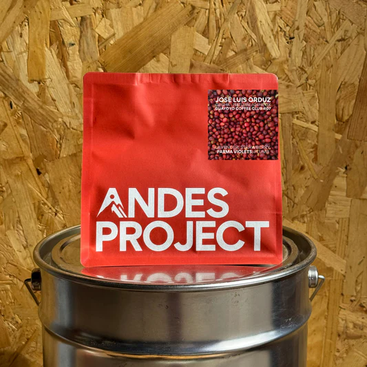 Andes Project
